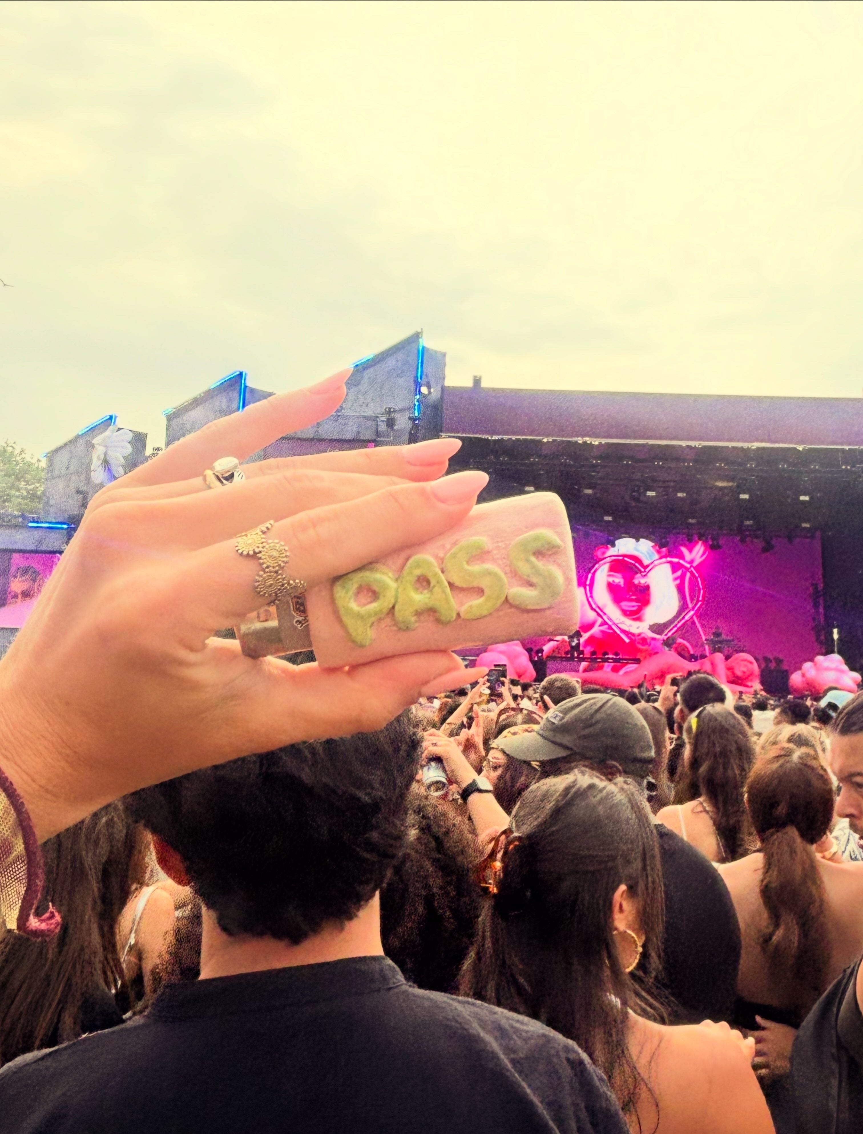 Lighter Case Puff Puff Pass
